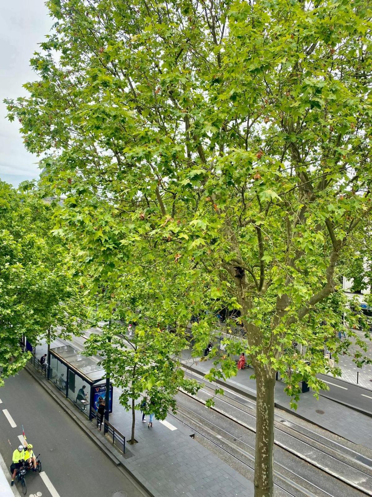 Logement Hyper Centre Jean-Jaures Apartment Tours Exterior foto